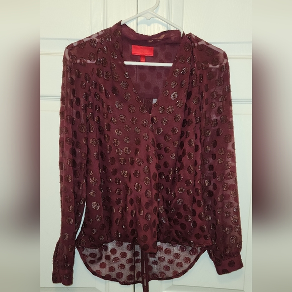 EUC Jennifer Lopez Long sleeve sheer blouse - Picture 1 of 5